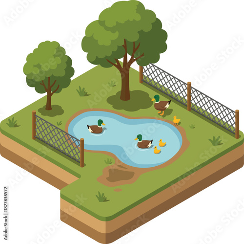 Duck farm with a little pond