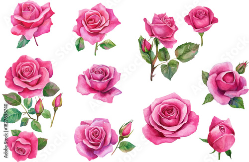 seamless pattern with pink roses