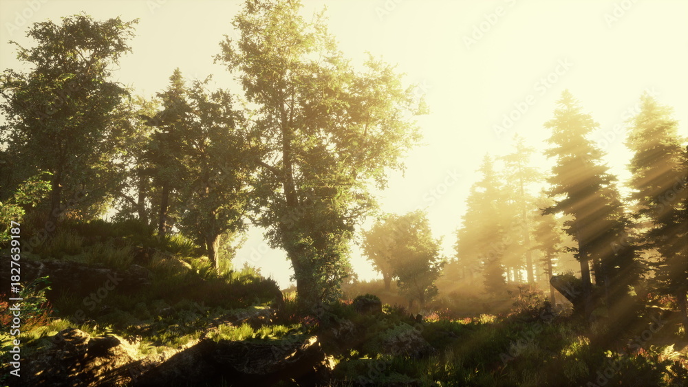 Obraz premium Gentle rays of sunlight stream through lush green trees in a tranquil forest. The scene captures natures beauty, inviting peaceful reflection and exploration.