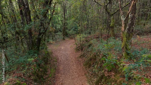 Empty Footpath In The Wilderness Of Ruta dos muiños do Rego das Gandaras, A Coruna, Spain. Dolly Shot
