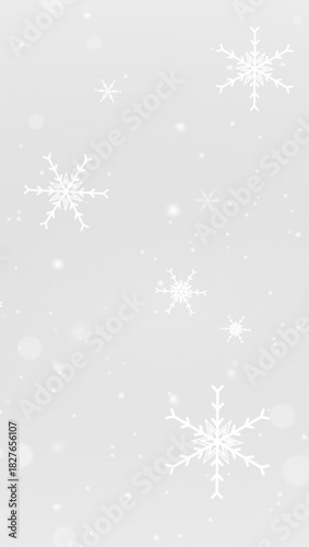 Winter snowflake frozen ice frost cold frame border white transparent decoration pattern.
