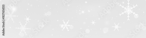 Snowflake ice frost frozen winter cold frame border white transparent decoration pattern.
