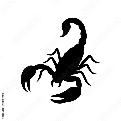 scorpion vector illustration