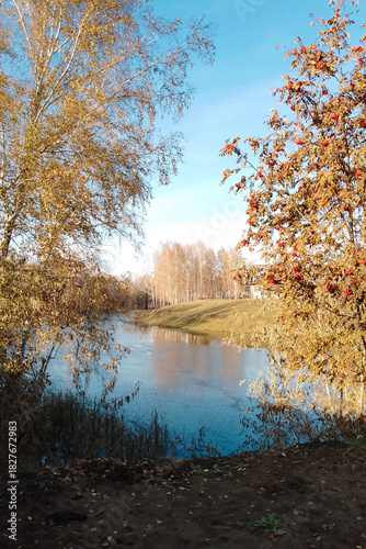 An autumn landscape by the lake: birches and red rowan berries, a bright blue sky. A view of the other shore of the lake.
