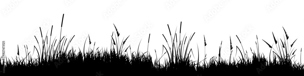 Naklejka premium Meadow silhouette with grass, plants on plain. Panoramic summer lawn landscape with herbs, various weeds. Herbal border, frame element. Black horizontal banners. Vector illustration