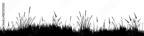 Meadow silhouette with grass, plants on plain. Panoramic summer lawn landscape with herbs, various weeds. Herbal border, frame element. Black horizontal banners. Vector illustration