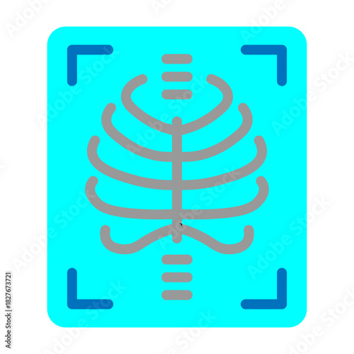XRay Vector Flat Icon Design