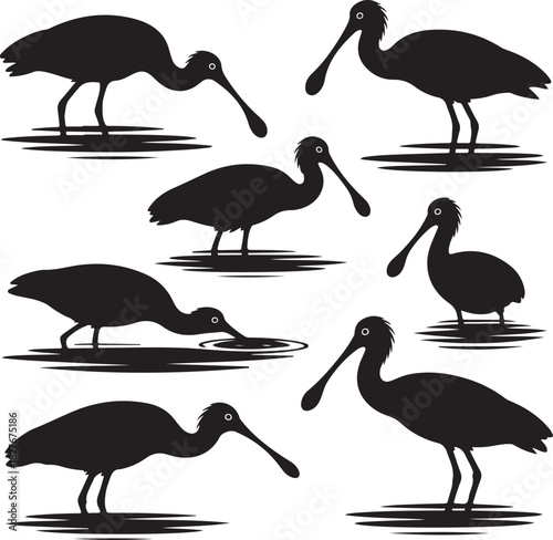 Black Silhouettes of Spoonbill Birds in Water Graphic Resource Vector