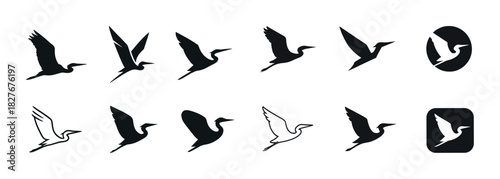 Set of stylized bird silhouettes in various flight poses