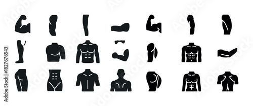 Silhouette icons of human body parts and muscles on white background