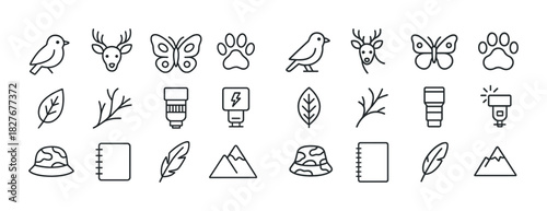 Nature and photography icons: birds, leaves, camera, paw, mountain