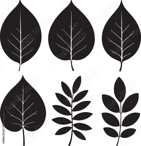 Collection of different black leaf silhouettes isolated on white background