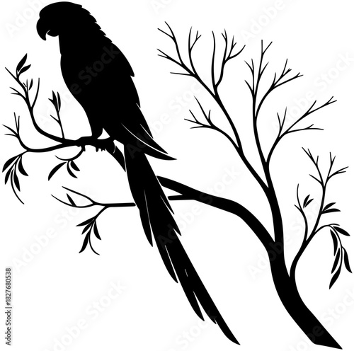 Parrot Perched on Tree Branch Silhouette – Vector Illustration