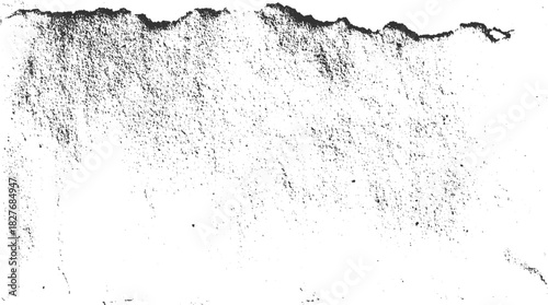 Black speckle texture on white background with rough torn edge vector