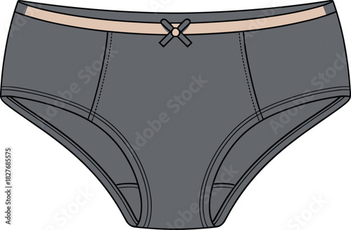 Grey Ladies Panty Fashion Flat Sketch, Lingerie Technical Drawing Vector Template, Women Underwear Design Front View, Briefs Illustration, Bow Detail