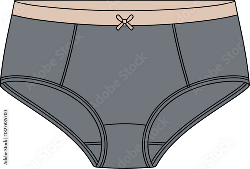 Grey Ladies Panty Fashion Flat Sketch, Technical Drawing Vector Template, Women Underwear Design Front View, Hipster Briefs Illustration