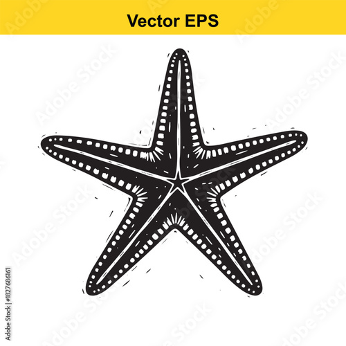Black and white woodcut style vector illustration of a starfish isolated on white background