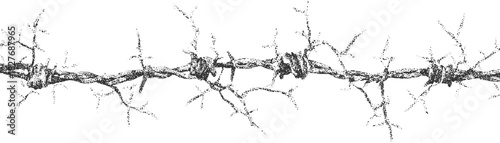 Black and white barbed wire with sharp points and textured surface fence
