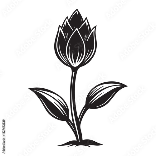 Flower bud sprouting silhouette vector Icon