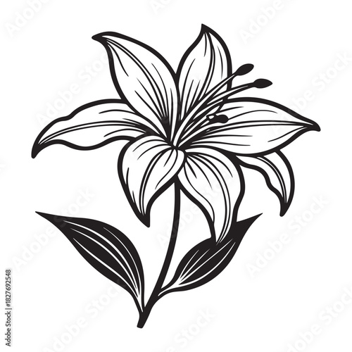 Long stem lily with two leaves vector icon