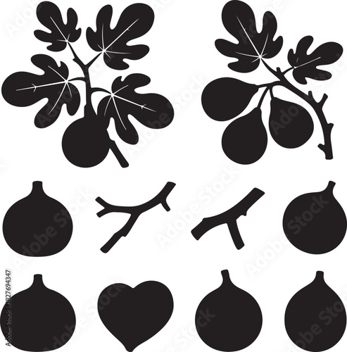 Fig Fruit Tree Branch Silhouette Vector Graphic Design Element Set