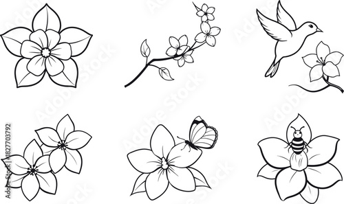 Different poses of butterfly and bird sketch vector