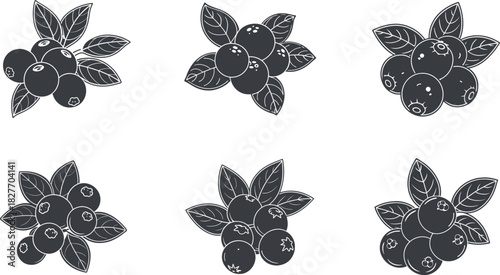 Set of six blueberry fruit silhouette icons collection vector
