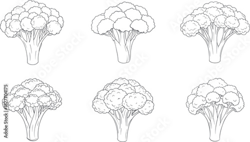 Simple broccoli crown doodle sketch collection design vector