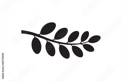 Clean olive branch symbol for gourmet menus and wellness materials
