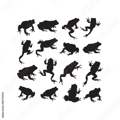 Frog Toad Amphibian Silhouette Vector Set
