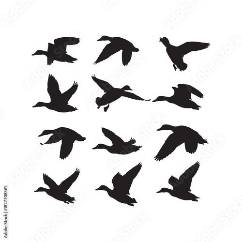 Flying Duck Waterfowl Silhouette Vector Set