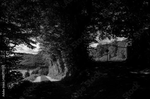 dark forest in Tyrol Austria rural road