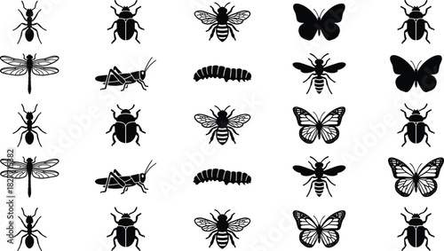 Insect silhouette grid, bug comparison chart, black vector art, species diversity, entomology study, classification, nature, educational illustration