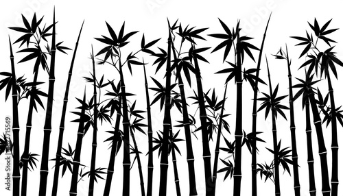 Bamboo forest illustration with black stalks and leaves on a white background, vector