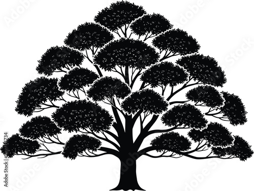 Stylized tree silhouette, symmetrical branches, rounded foliage, black vector art, nature concept, growth symbol, structure, stability, organic illustration