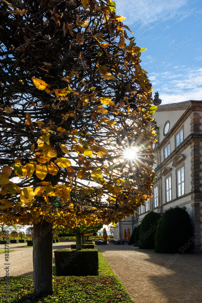 Naklejka premium Sunlight shines through autumn foliage creating warm glow beside elegant palace facade. Trimmed trees and soft shadows form serene garden atmosphere under bright sky