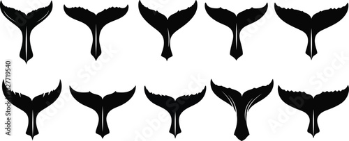 Whale Tails Silhouette Set, Marine Life Variety with Transparent Background