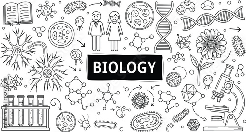 Black and White Biology Doodle Illustration; Science and Healthcare Outline; Microscopic Life, DNA Structure, Neurons, Cells, Microscope, and Botanical Concept Banner.