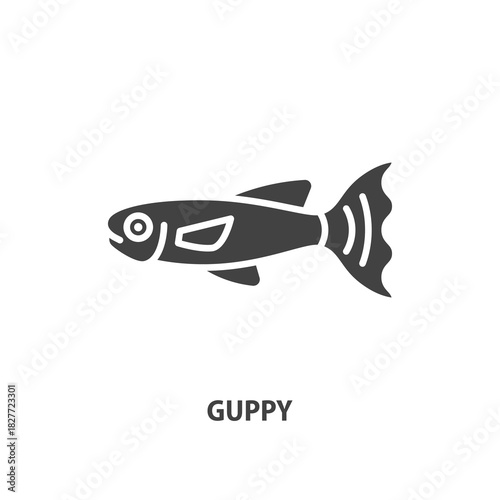 Guppy glyph icon. Aquarium fish vector sign.