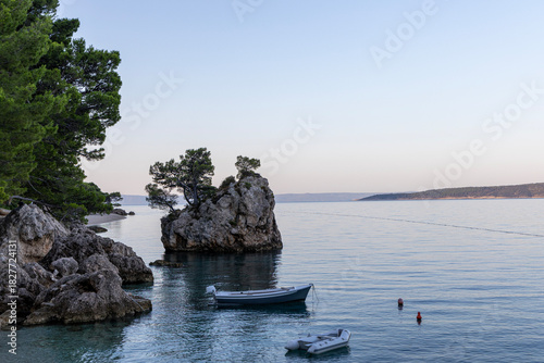 Fototapeta Naklejka Na Ścianę i Meble -  Coastline Croatia, island with trees Adriatic Sea, Makarska.