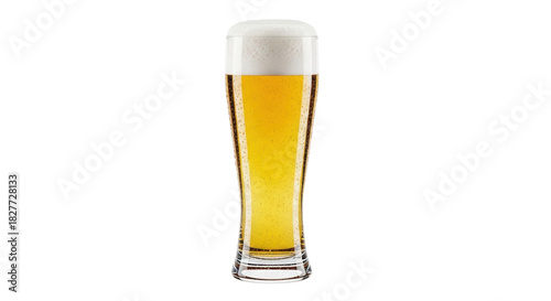 Obraz na plátně Isolated glass of pale lager beer, refreshing golden drink, chilled alcoholic be