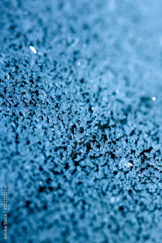 Obraz premium Abstract Frosty Ice Background in Blue natureal frost