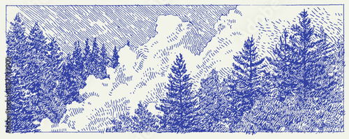 A blue and white drawing of trees. The trees are in a forest and are in the foreground. vector illustration