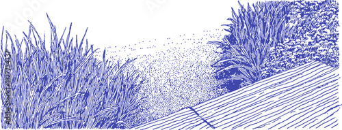 A blue and white drawing of a grassy area with a path. The grass is tall and the path is made of wood. vector illustration