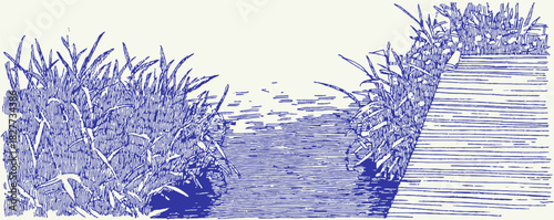 A blue and white drawing of a river with grass on the bank. The grass is green and the water is blue. vector illustration