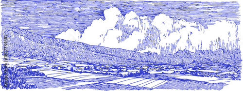 A blue and white drawing of a field with a cloudy sky. The sky is filled with clouds and the field is dotted with trees. vector illustration