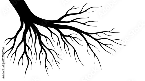 Minimalist black and white line art ribbon with "Happy New Year" text, symbolizing celebration and festive greetings.