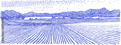 annetdebar_Landscape_of_a_sunflower_field_stretching_toward_a_fa541bce-5219-4813-b6b7-f36d345402aa_1_traced