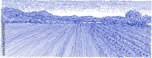 A blue and white drawing of a field with trees. The drawing is in black and white and has a pixelated look. vector illustration