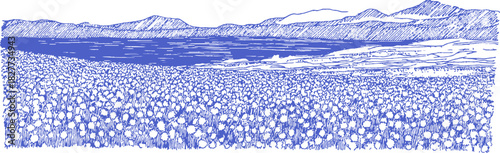 A blue and white drawing of a field with a body of water in the background. The water is blue. vector illustration